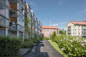 Asuntojen vuokrat Vantaalla – tunnetko kalleimmat ja halvimmat alueet?