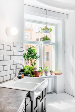 keittiöpuutarha keittiön ikkunalaudalla